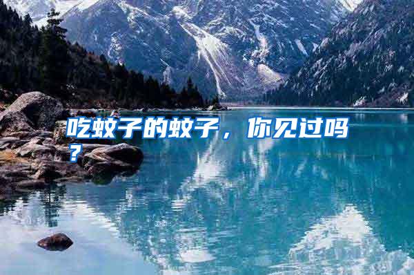 吃蚊子的蚊子，你見(jiàn)過(guò)嗎？