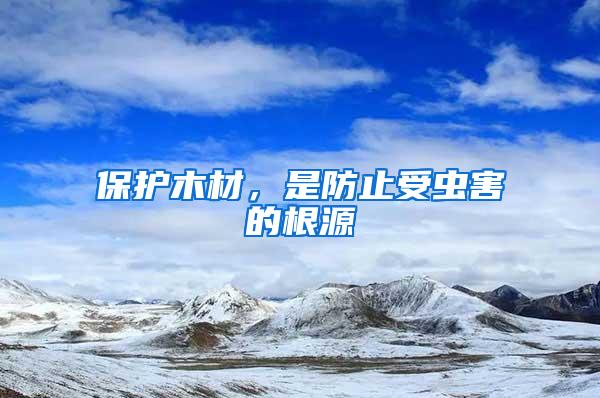 保護(hù)木材，是防止受蟲害的根源