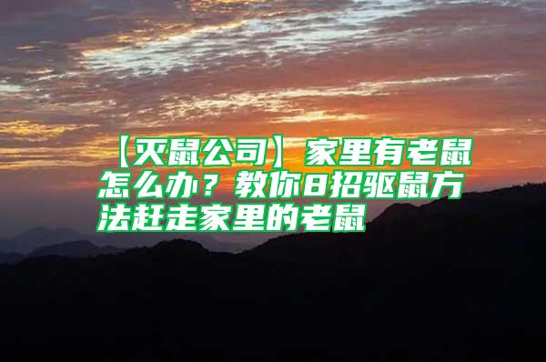 【滅鼠公司】家里有老鼠怎么辦？教你8招驅(qū)鼠方法趕走家里的老鼠