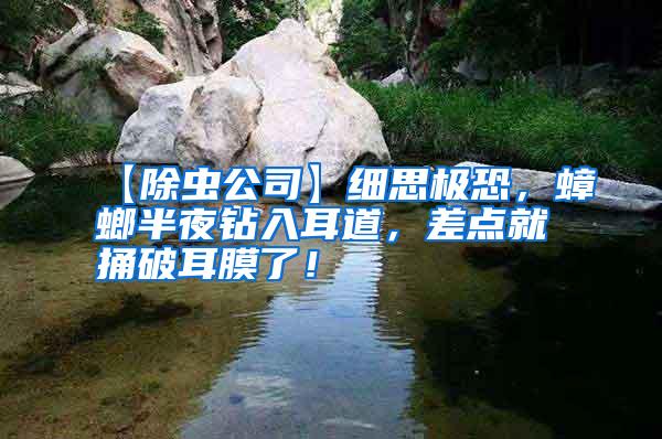 【除蟲公司】細思極恐，蟑螂半夜鉆入耳道，差點就捅破耳膜了！