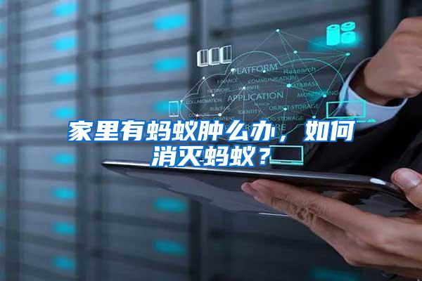 家里有螞蟻腫么辦，如何消滅螞蟻？