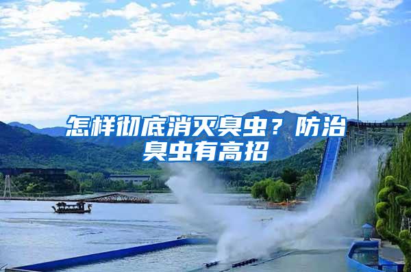 怎樣徹底消滅臭蟲(chóng)？防治臭蟲(chóng)有高招