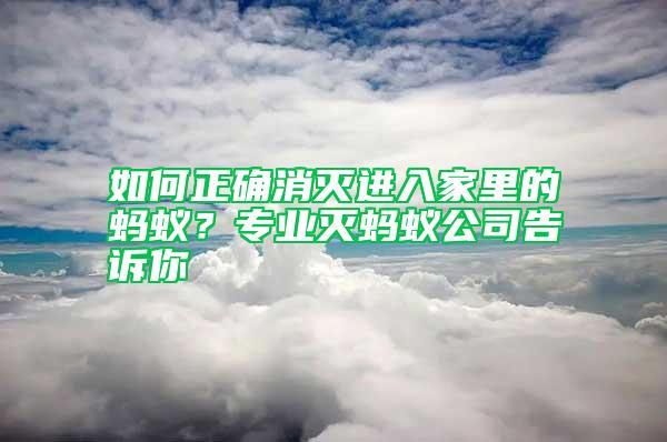 如何正確消滅進(jìn)入家里的螞蟻？專業(yè)滅螞蟻公司告訴你