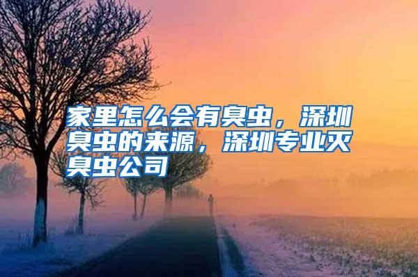 家里怎么會有臭蟲，深圳臭蟲的來源，深圳專業(yè)滅臭蟲公司