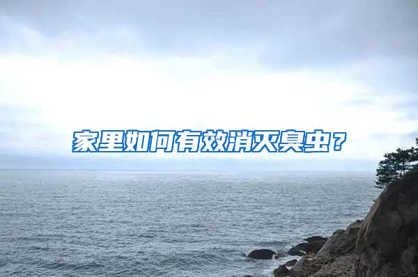 家里如何有效消滅臭蟲？