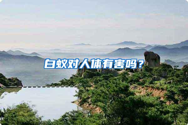 白蟻對(duì)人體有害嗎？
