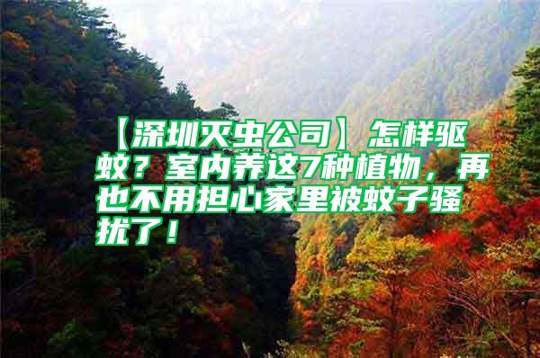 【深圳滅蟲公司】怎樣驅(qū)蚊？室內(nèi)養(yǎng)這7種植物，再也不用擔(dān)心家里被蚊子騷擾了！
