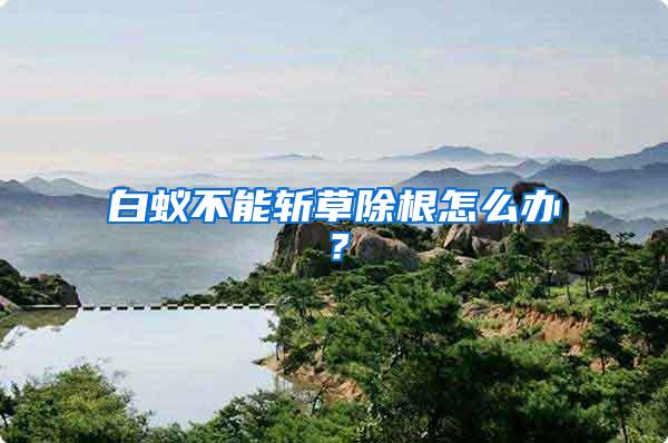 白蟻不能斬草除根怎么辦？