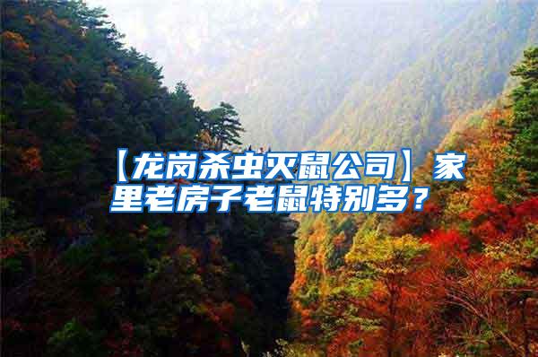 【龍崗殺蟲滅鼠公司】家里老房子老鼠特別多？