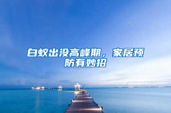 白蟻出沒高峰期，家居預(yù)防有妙招