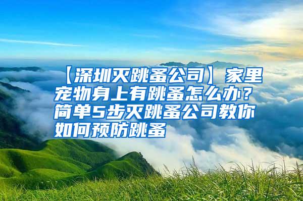 【深圳滅跳蚤公司】家里寵物身上有跳蚤怎么辦？簡(jiǎn)單5步滅跳蚤公司教你如何預(yù)防跳蚤