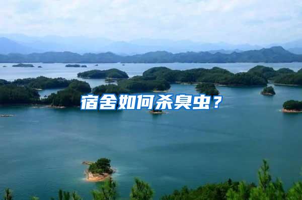 宿舍如何殺臭蟲？