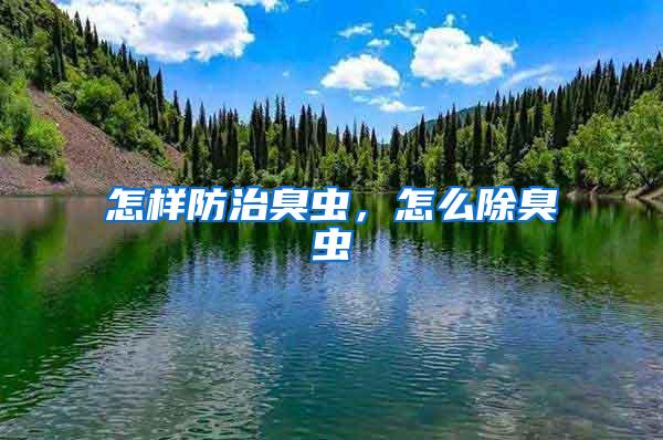 怎樣防治臭蟲，怎么除臭蟲