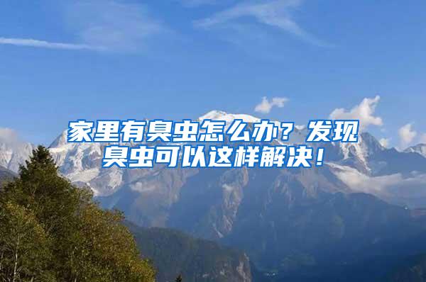 家里有臭蟲怎么辦？發(fā)現(xiàn)臭蟲可以這樣解決！