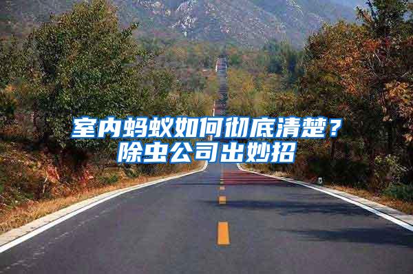 室內(nèi)螞蟻如何徹底清楚？除蟲(chóng)公司出妙招