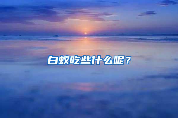 白蟻吃些什么呢？