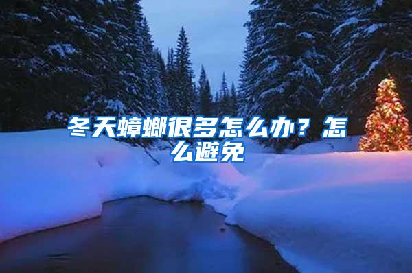冬天蟑螂很多怎么辦？怎么避免