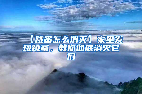 【跳蚤怎么消滅】家里發(fā)現(xiàn)跳蚤，教你徹底消滅它們