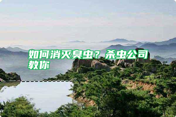 如何消滅臭蟲？殺蟲公司教你