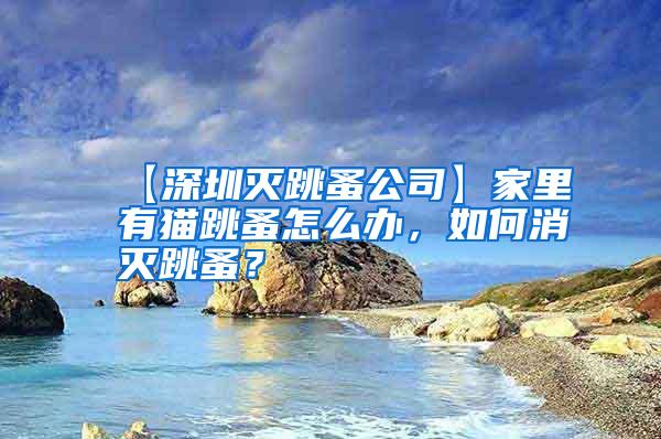【深圳滅跳蚤公司】家里有貓?zhí)樵趺崔k，如何消滅跳蚤？