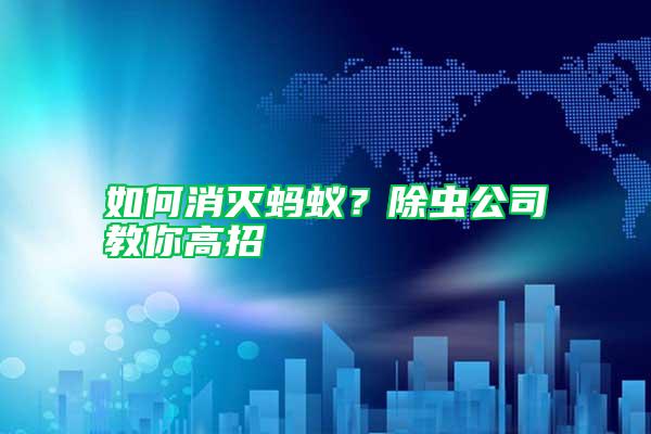 如何消滅螞蟻？除蟲公司教你高招