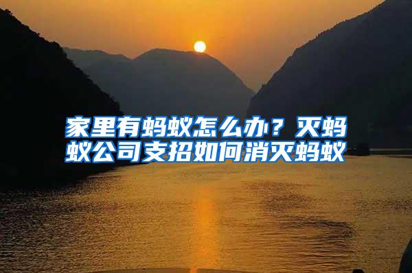 家里有螞蟻怎么辦？滅螞蟻公司支招如何消滅螞蟻