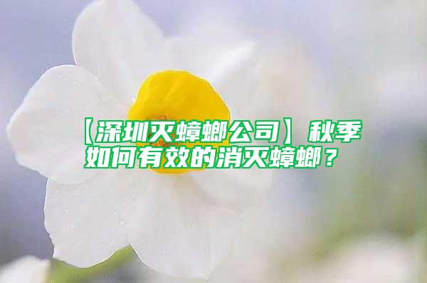 【深圳滅蟑螂公司】秋季  如何有效的消滅蟑螂？