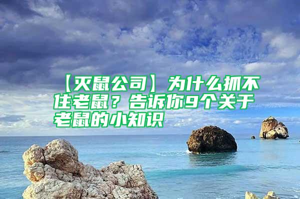 【滅鼠公司】為什么抓不住老鼠？告訴你9個(gè)關(guān)于老鼠的小知識(shí)