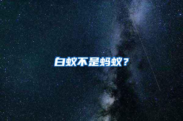 白蟻不是螞蟻？
