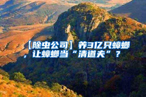 【除蟲(chóng)公司】養(yǎng)3億只蟑螂，讓蟑螂當(dāng)“清道夫”？