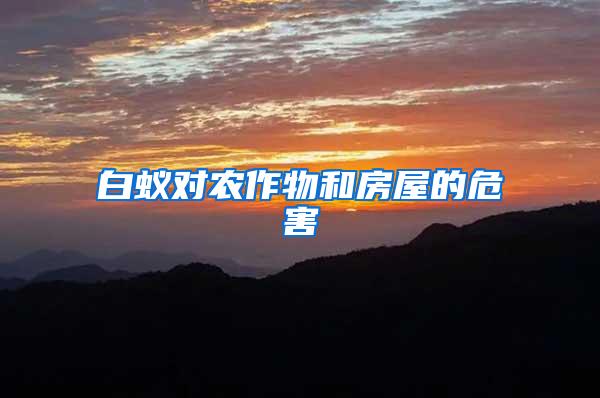 白蟻對農(nóng)作物和房屋的危害