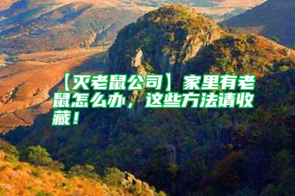 【滅老鼠公司】家里有老鼠怎么辦，這些方法請收藏！