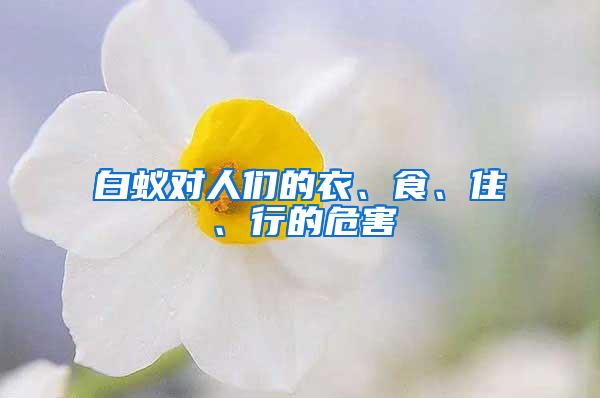 白蟻對(duì)人們的衣、食、住、行的危害