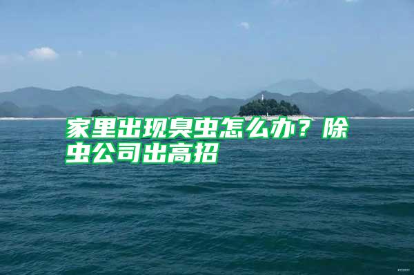 家里出現(xiàn)臭蟲怎么辦？除蟲公司出高招
