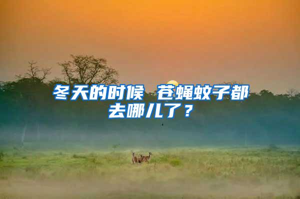 冬天的時(shí)候 蒼蠅蚊子都去哪兒了？