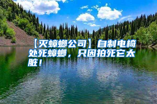 【滅蟑螂公司】自制電椅處死蟑螂，只因拍死它太臟！