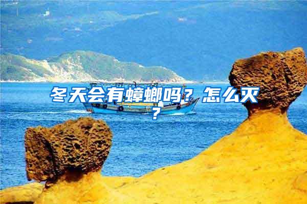 冬天會有蟑螂嗎？怎么滅？