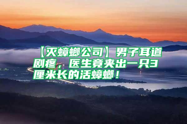 【滅蟑螂公司】男子耳道劇疼，醫(yī)生竟夾出一只3厘米長的活蟑螂！