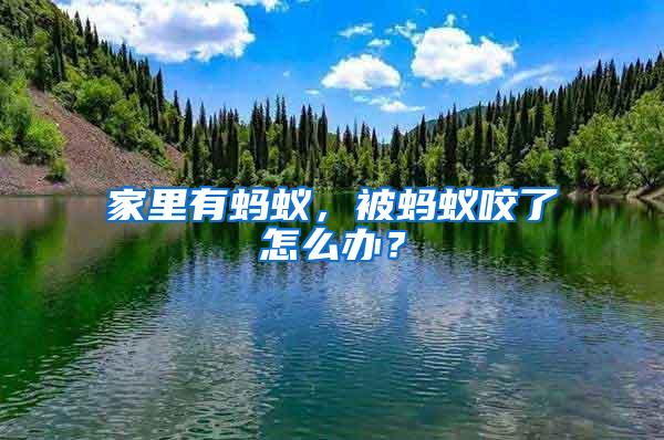 家里有螞蟻，被螞蟻咬了怎么辦？