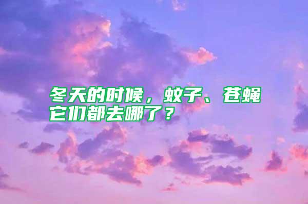 冬天的時(shí)候，蚊子、蒼蠅它們都去哪了？