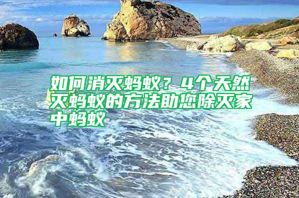 如何消滅螞蟻？4個天然滅螞蟻的方法助您除滅家中螞蟻