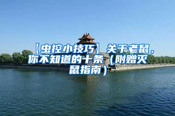 【蟲(chóng)控小技巧】關(guān)于老鼠，你不知道的十條（附贈(zèng)滅鼠指南）