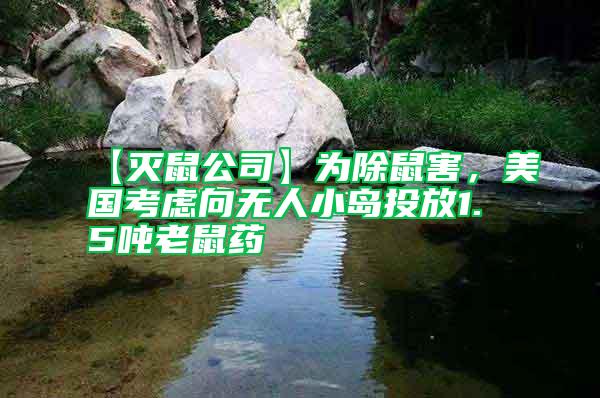 【滅鼠公司】為除鼠害，美國考慮向無人小島投放1.5噸老鼠藥