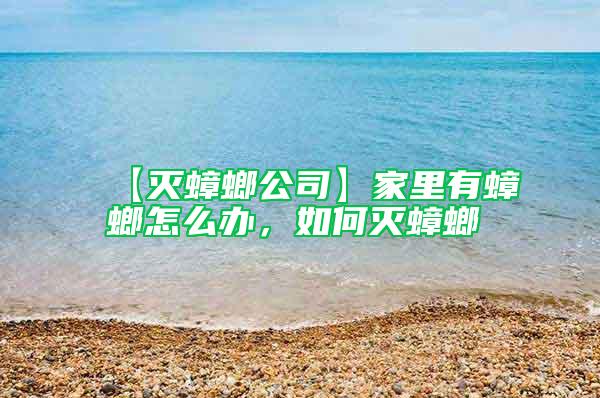 【滅蟑螂公司】家里有蟑螂怎么辦，如何滅蟑螂