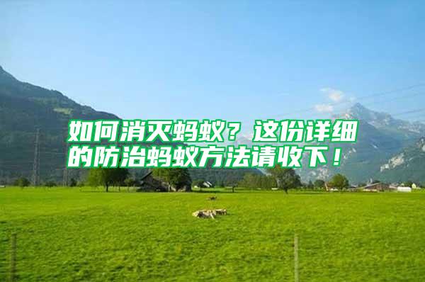如何消滅螞蟻？這份詳細的防治螞蟻方法請收下！