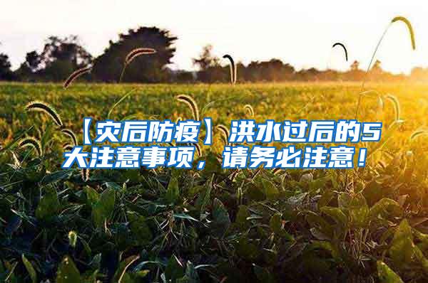 【災后防疫】洪水過后的5大注意事項，請務必注意！