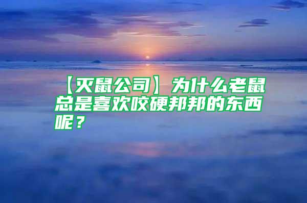 【滅鼠公司】為什么老鼠總是喜歡咬硬邦邦的東西呢？