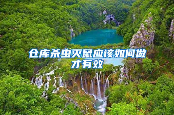 倉庫殺蟲滅鼠應(yīng)該如何做才有效