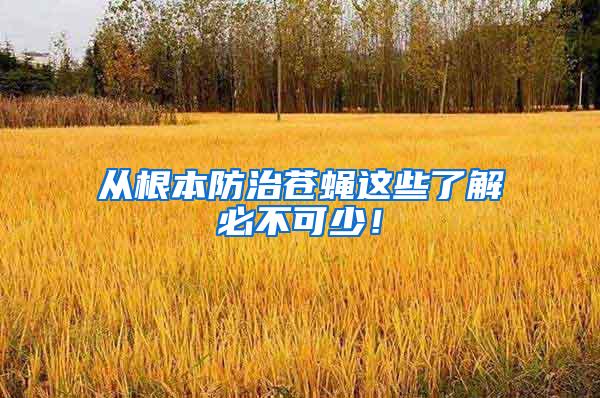 從根本防治蒼蠅這些了解必不可少！