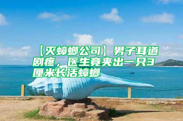 【滅蟑螂公司】男子耳道劇疼，醫(yī)生竟夾出一只3厘米長(zhǎng)活蟑螂